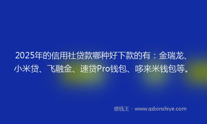 2025年的信用社贷款哪种好下款的有：金瑞龙、小米贷、飞融金、速贷Pro钱包、哆来米钱包等。