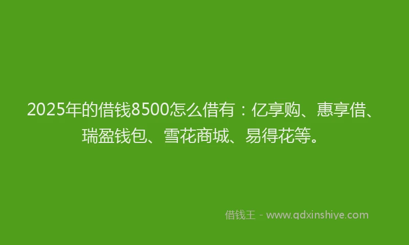 2025年的借钱8500怎么借有：亿享购、惠享借、瑞盈钱包、雪花商城、易得花等。