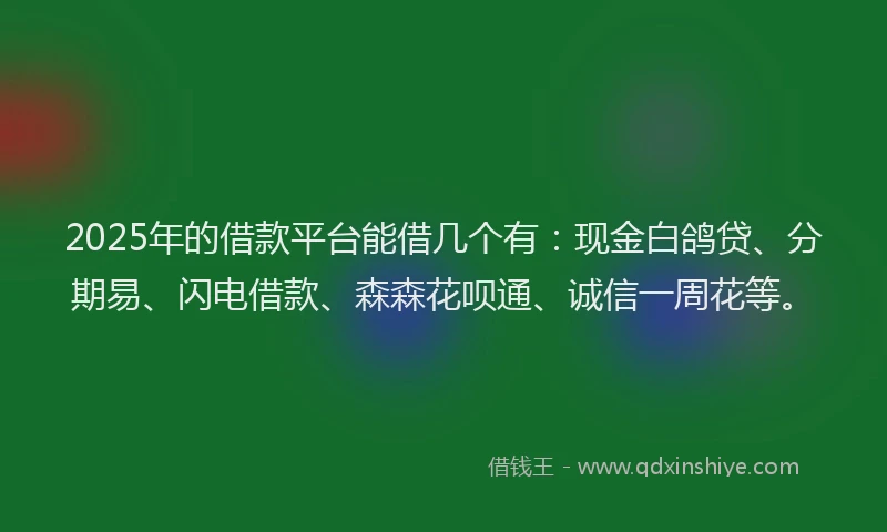 2025年的借款平台能借几个有：现金白鸽贷、分期易、闪电借款、森森花呗通、诚信一周花等。