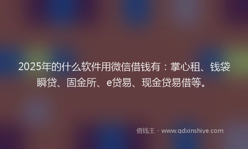 2025年的什么软件用微信借钱有：掌心租、钱袋瞬贷、固金所、e贷易、现金贷易借等。