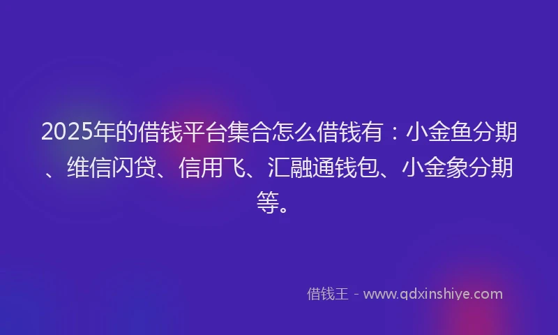 2025年的借钱平台集合怎么借钱有：小金鱼分期、维信闪贷、信用飞、汇融通钱包、小金象分期等。