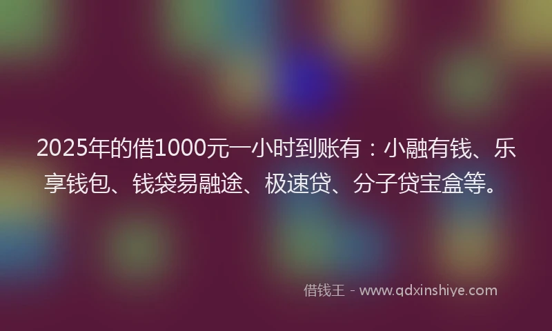 2025年的借1000元一小时到账有：小融有钱、乐享钱包、钱袋易融途、极速贷、分子贷宝盒等。