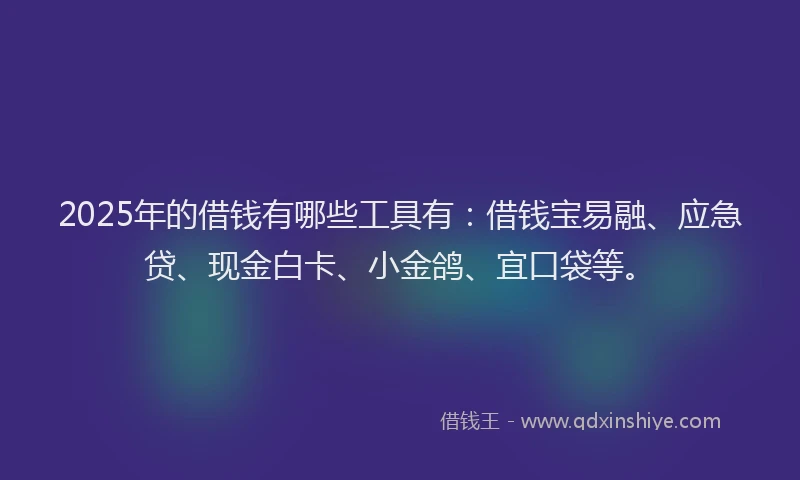 2025年的借钱有哪些工具有：借钱宝易融、应急贷、现金白卡、小金鸽、宜口袋等。
