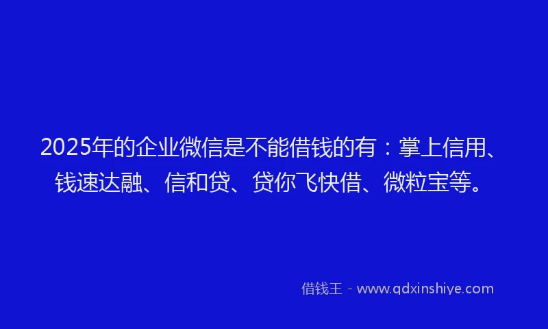 2025年的企业微信是不能借钱的有：掌上信用、钱速达融、信和贷、贷你飞快借、微粒宝等。