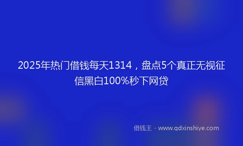 2025年热门借钱每天1314，盘点5个真正无视征信黑白100%秒下网贷