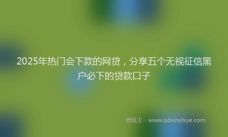 2025年热门会下款的网贷，分享五个无视征信黑户必下的贷款口子
