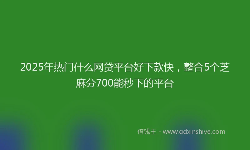 2025年热门什么网贷平台好下款快，整合5个芝麻分700能秒下的平台