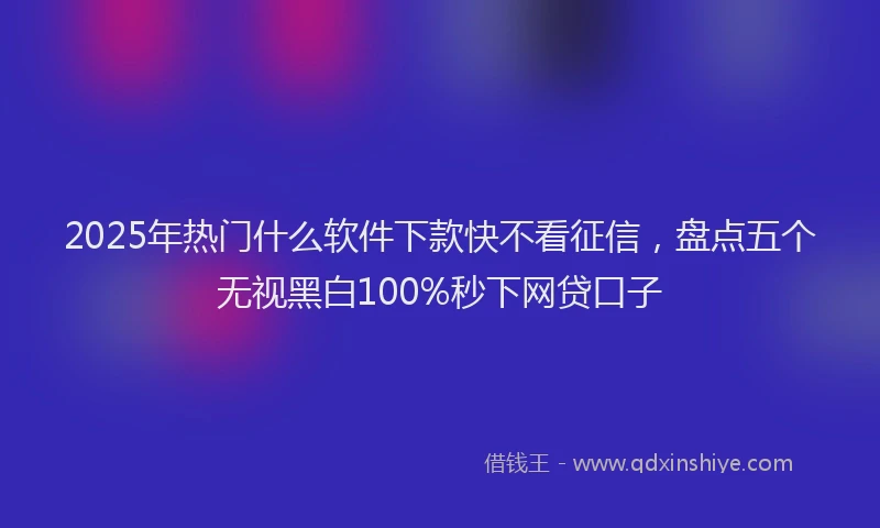 2025年热门什么软件下款快不看征信，盘点五个无视黑白100%秒下网贷口子