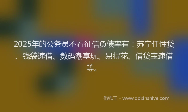 2025年的公务员不看征信负债率有：苏宁任性贷、钱袋速借、数码潮享玩、易得花、借贷宝速借等。