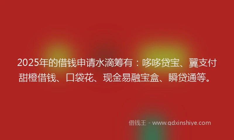 2025年的借钱申请水滴筹有：哆哆贷宝、翼支付甜橙借钱、口袋花、现金易融宝盒、瞬贷通等。