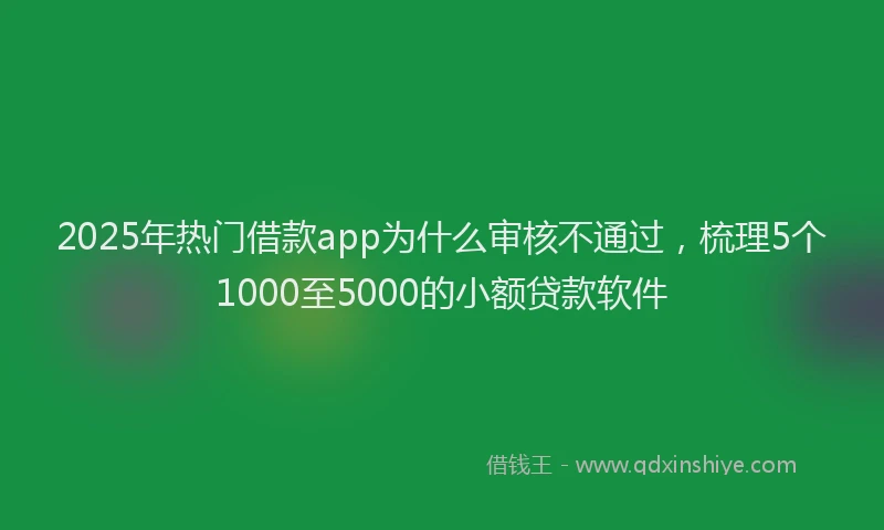2025年热门借款app为什么审核不通过，梳理5个1000至5000的小额贷款软件