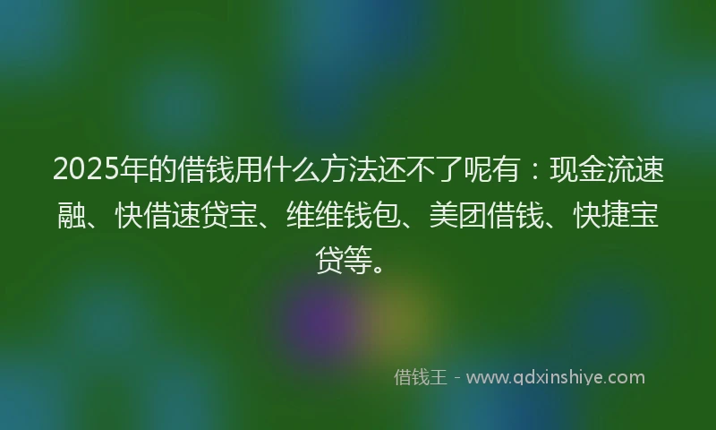 2025年的借钱用什么方法还不了呢有：现金流速融、快借速贷宝、维维钱包、美团借钱、快捷宝贷等。