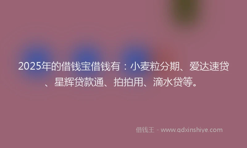 2025年的借钱宝借钱有：小麦粒分期、爱达速贷、星辉贷款通、拍拍用、滴水贷等。