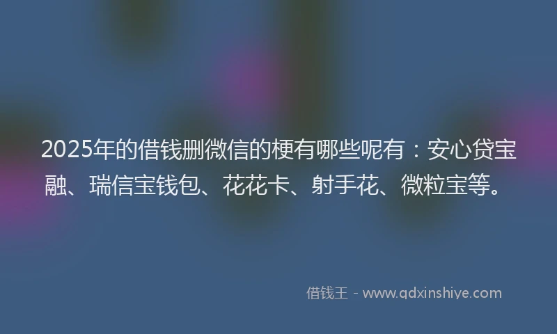 2025年的借钱删微信的梗有哪些呢有：安心贷宝融、瑞信宝钱包、花花卡、射手花、微粒宝等。