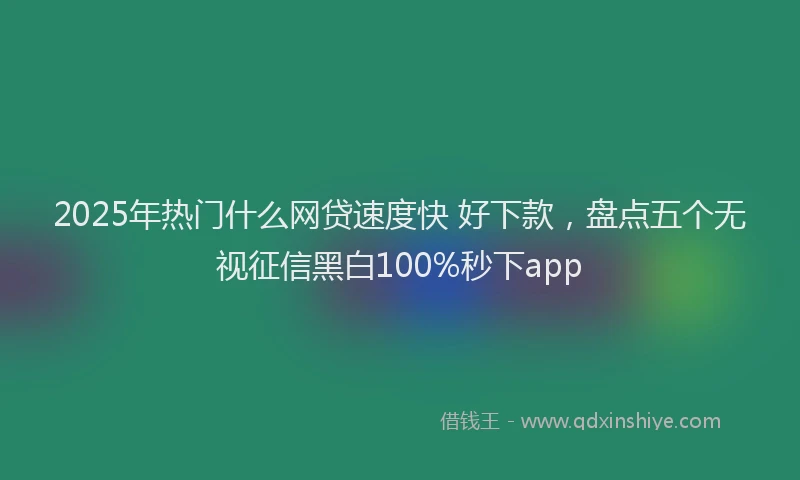 2025年热门什么网贷速度快 好下款，盘点五个无视征信黑白100%秒下app