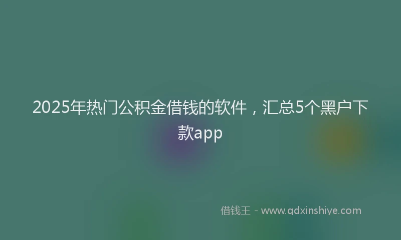 2025年热门公积金借钱的软件，汇总5个黑户下款app
