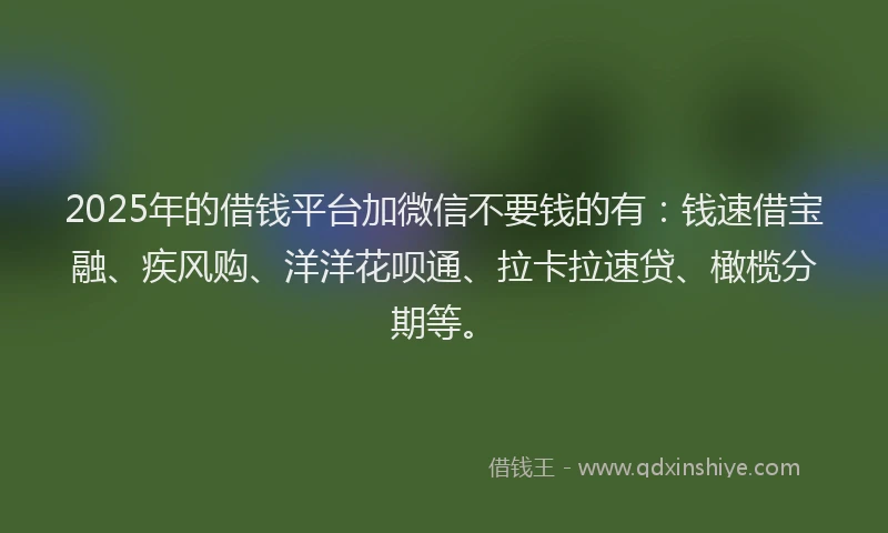 2025年的借钱平台加微信不要钱的有：钱速借宝融、疾风购、洋洋花呗通、拉卡拉速贷、橄榄分期等。