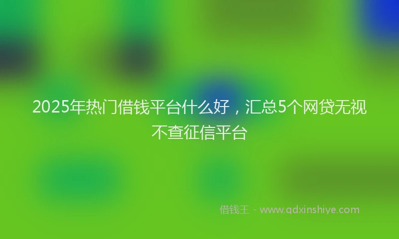 2025年热门借钱平台什么好，汇总5个网贷无视不查征信平台