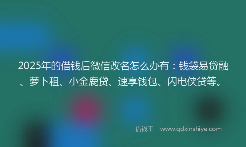 2025年的借钱后微信改名怎么办有：钱袋易贷融、萝卜租、小金鹿贷、速享钱包、闪电侠贷等。