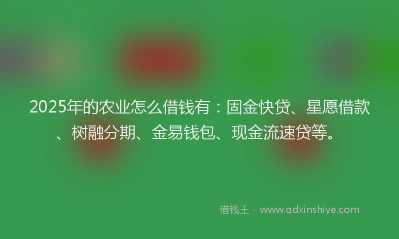 2025年的农业怎么借钱有：固金快贷、星愿借款、树融分期、金易钱包、现金流速贷等。