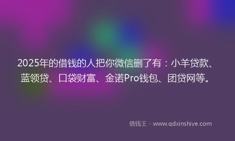 2025年的借钱的人把你微信删了有：小羊贷款、蓝领贷、口袋财富、金诺Pro钱包、团贷网等。