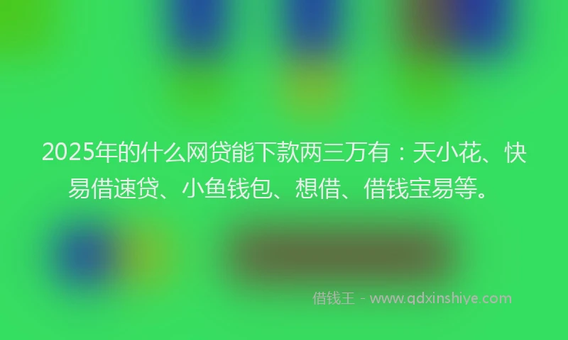 2025年的什么网贷能下款两三万有：天小花、快易借速贷、小鱼钱包、想借、借钱宝易等。