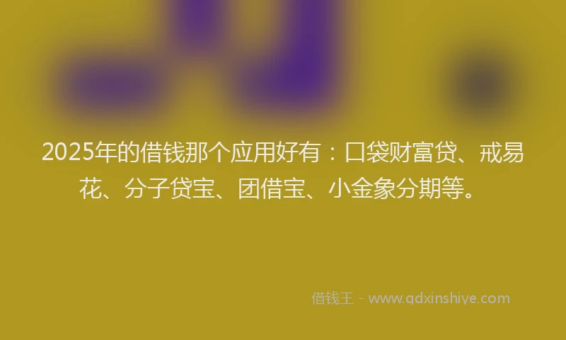 2025年的借钱那个应用好有：口袋财富贷、戒易花、分子贷宝、团借宝、小金象分期等。