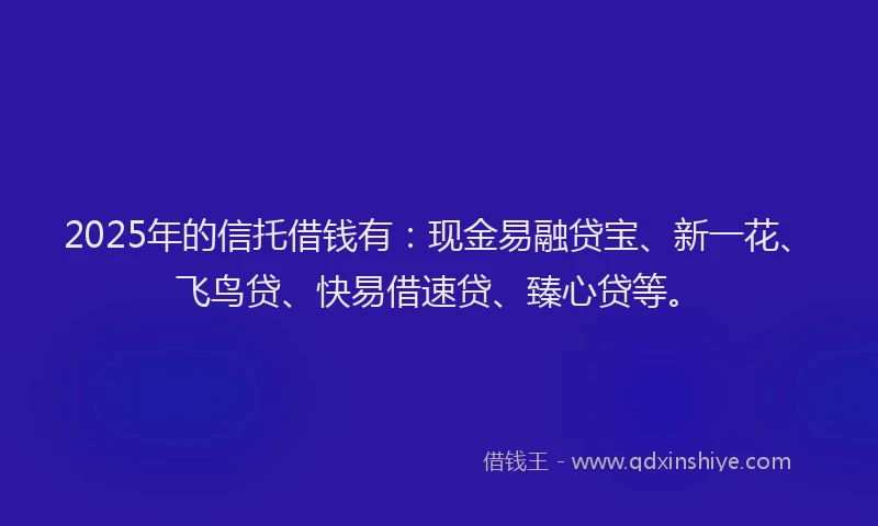 2025年的信托借钱有：现金易融贷宝、新一花、飞鸟贷、快易借速贷、臻心贷等。