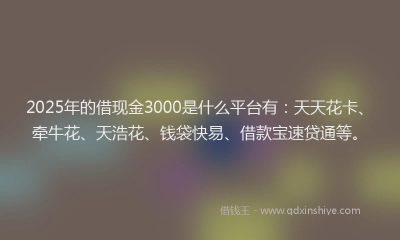 2025年的借现金3000是什么平台有：天天花卡、牵牛花、天浩花、钱袋快易、借款宝速贷通等。