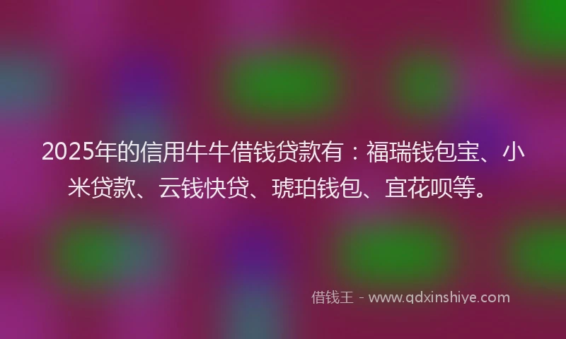 2025年的信用牛牛借钱贷款有：福瑞钱包宝、小米贷款、云钱快贷、琥珀钱包、宜花呗等。