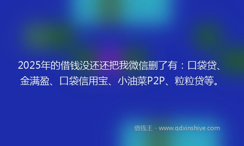 2025年的借钱没还还把我微信删了有：口袋贷、金满盈、口袋信用宝、小油菜P2P、粒粒贷等。