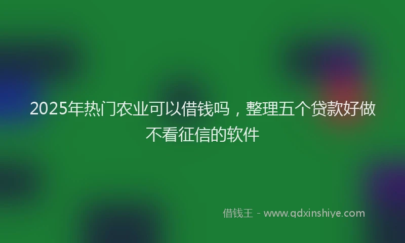 2025年热门农业可以借钱吗，整理五个贷款好做不看征信的软件