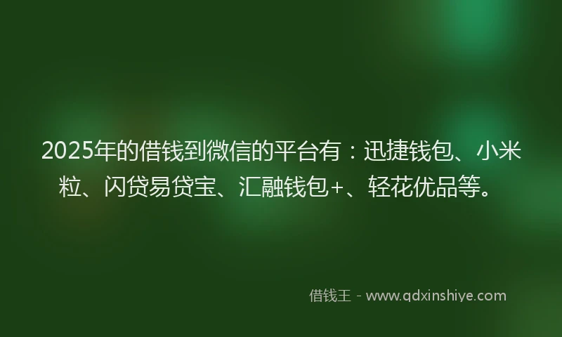 2025年的借钱到微信的平台有：迅捷钱包、小米粒、闪贷易贷宝、汇融钱包+、轻花优品等。