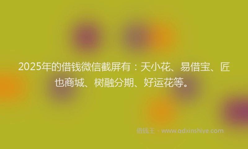 2025年的借钱微信截屏有：天小花、易借宝、匠也商城、树融分期、好运花等。
