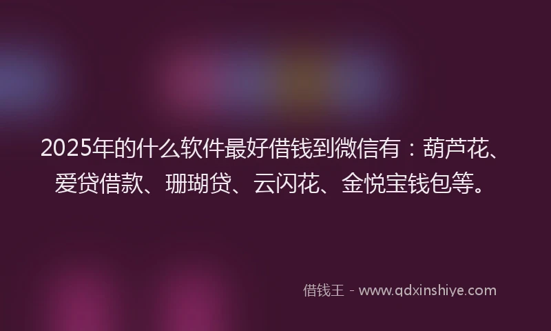 2025年的什么软件最好借钱到微信有：葫芦花、爱贷借款、珊瑚贷、云闪花、金悦宝钱包等。