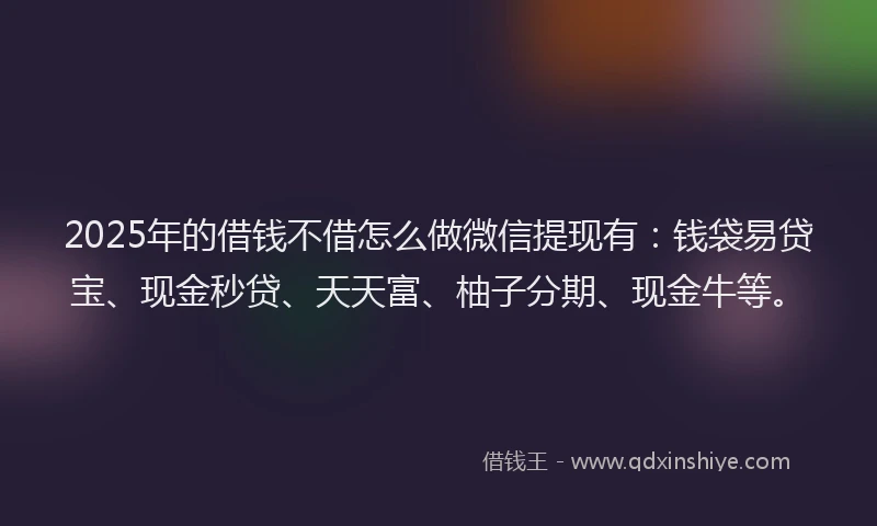 2025年的借钱不借怎么做微信提现有：钱袋易贷宝、现金秒贷、天天富、柚子分期、现金牛等。