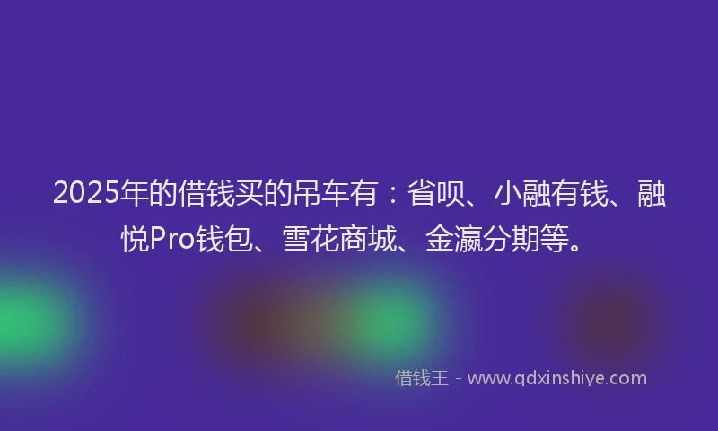 2025年的借钱买的吊车有：省呗、小融有钱、融悦Pro钱包、雪花商城、金瀛分期等。