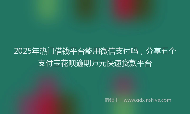 2025年热门借钱平台能用微信支付吗，分享五个支付宝花呗逾期万元快速贷款平台