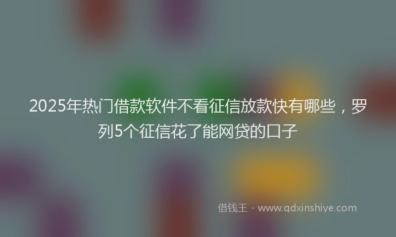 2025年热门借款软件不看征信放款快有哪些，罗列5个征信花了能网贷的口子