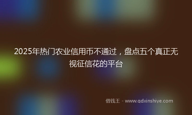 2025年热门农业信用币不通过，盘点五个真正无视征信花的平台