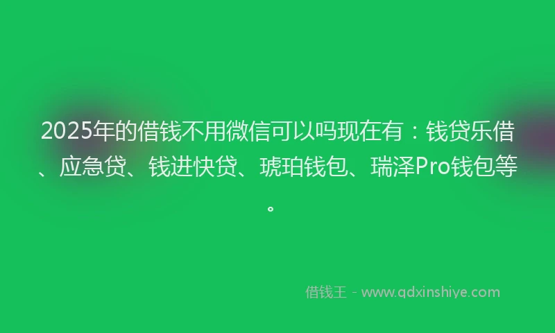 2025年的借钱不用微信可以吗现在有：钱贷乐借、应急贷、钱进快贷、琥珀钱包、瑞泽Pro钱包等。