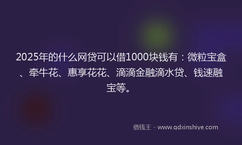 2025年的什么网贷可以借1000块钱有：微粒宝盒、牵牛花、惠享花花、滴滴金融滴水贷、钱速融宝等。