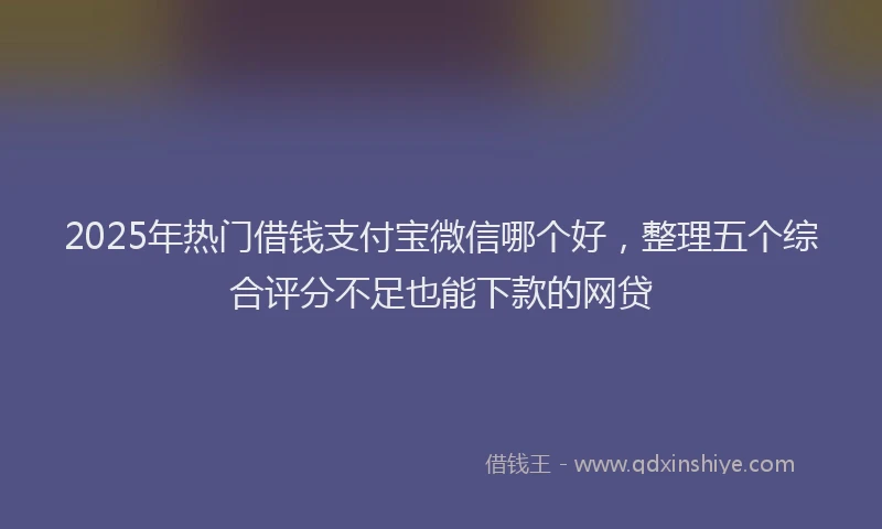 2025年热门借钱支付宝微信哪个好，整理五个综合评分不足也能下款的网贷