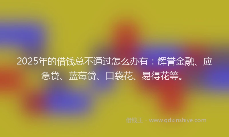 2025年的借钱总不通过怎么办有：辉誉金融、应急贷、蓝莓贷、口袋花、易得花等。