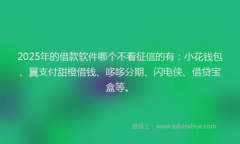 2025年的借款软件哪个不看征信的有：小花钱包、翼支付甜橙借钱、哆哆分期、闪电侠、借贷宝盒等。
