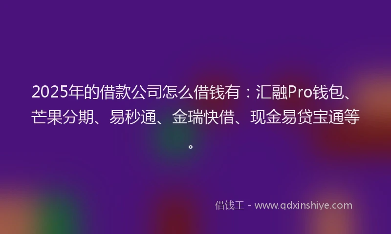 2025年的借款公司怎么借钱有：汇融Pro钱包、芒果分期、易秒通、金瑞快借、现金易贷宝通等。