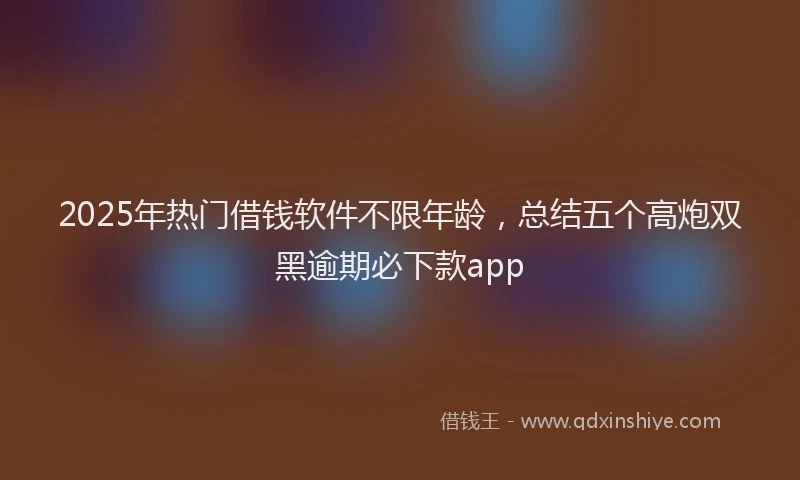 2025年热门借钱软件不限年龄，总结五个高炮双黑逾期必下款app