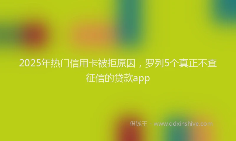 2025年热门信用卡被拒原因，罗列5个真正不查征信的贷款app