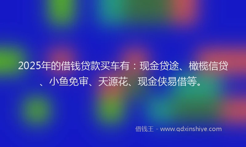 2025年的借钱贷款买车有：现金贷途、橄榄信贷、小鱼免审、天源花、现金侠易借等。