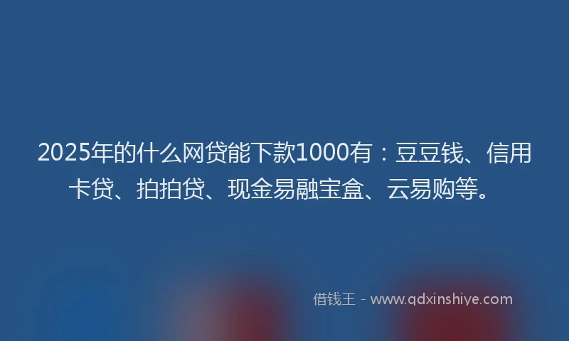 2025年的什么网贷能下款1000有：豆豆钱、信用卡贷、拍拍贷、现金易融宝盒、云易购等。